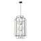 Z-Lite Titania 12 Light Pendant, Black 454-42BK-BN - alternate 4